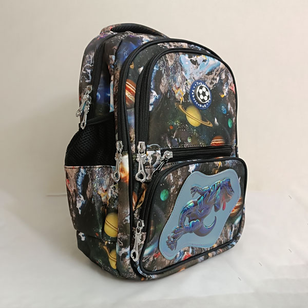 کوله پشتی طرح دار سری 6045