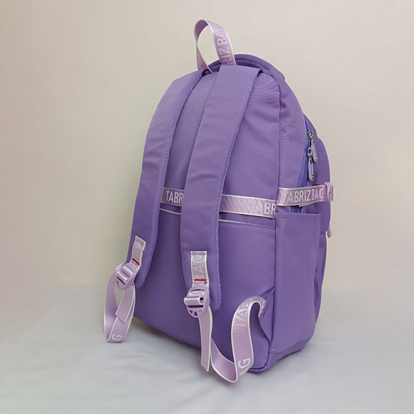 کوله پشتی پاستیلی سری 6055